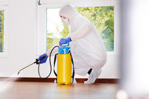 Дезинфекция клопов Дезинфекция клопов