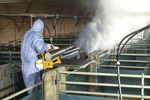 Фумигация (газация) помещений Фумигация (газация) помещений