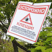 Дезинсекция-клещей
