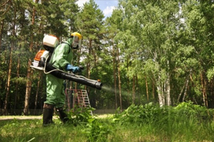 Избавление от клещей на участке Избавление от клещей на участке